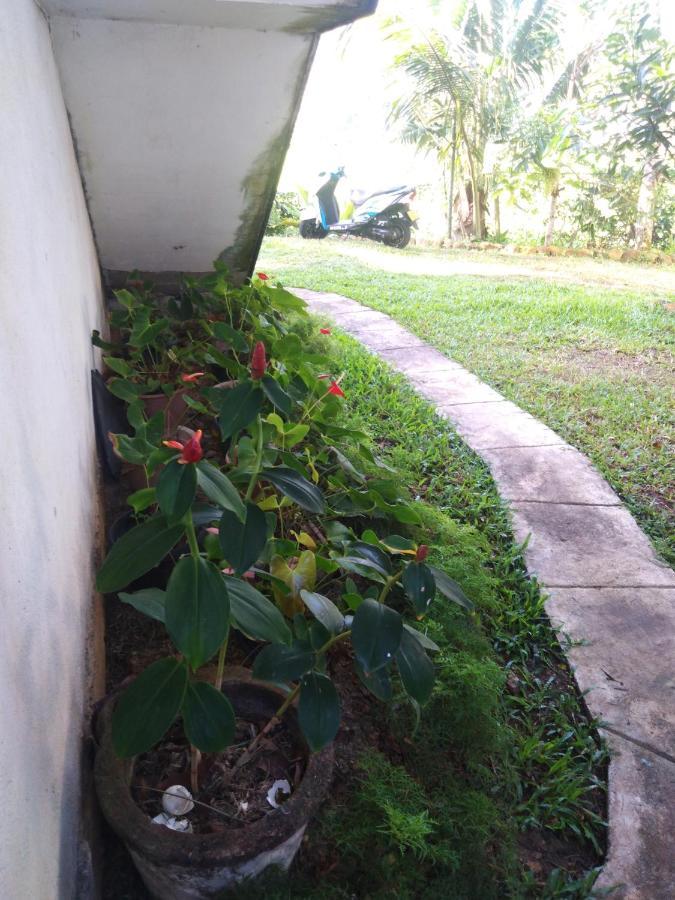 Field Island Villa - Ahangama Exterior photo