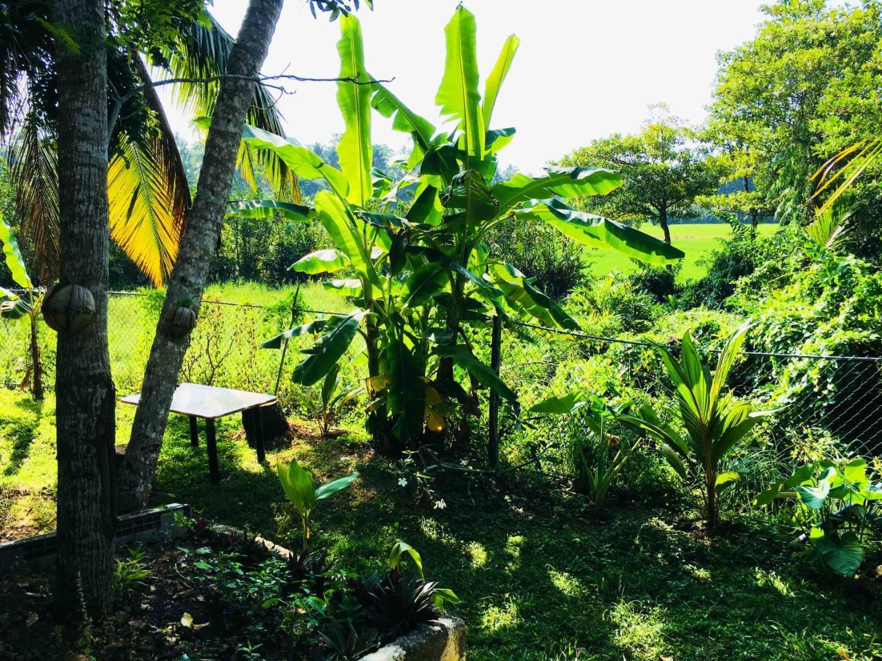 Field Island Villa - Ahangama Exterior photo